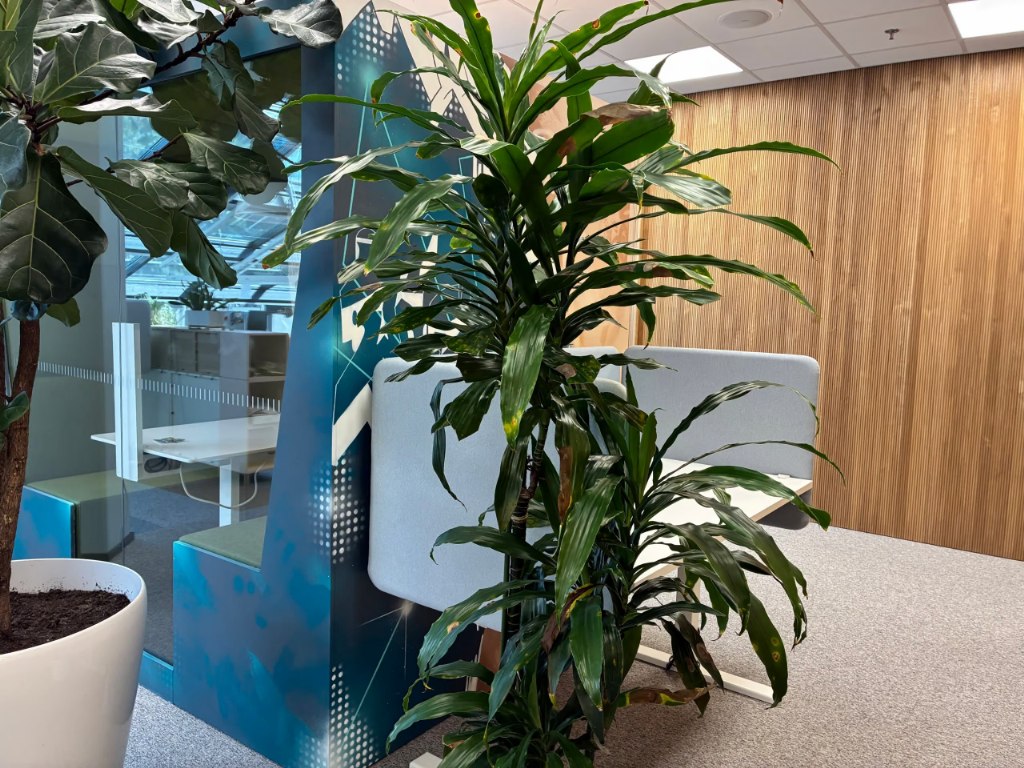 Location Image